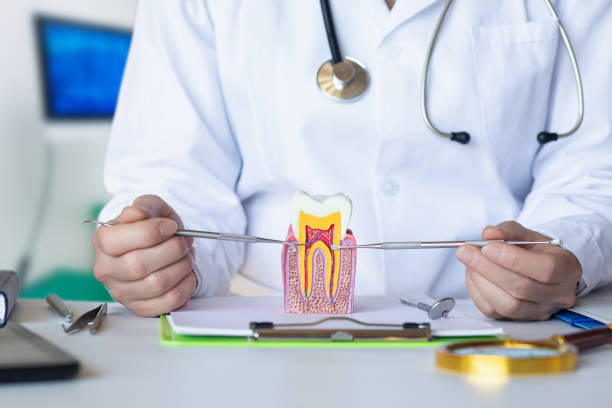 Best Knocked-Out Tooth Emergency  in Patrick Springs, VA